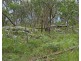 1214 Mt McKenzie Road, Tenterfield NSW 2372