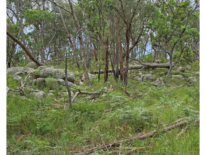 1214 Mt McKenzie Road, Tenterfield NSW 2372