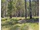 1214 Mt McKenzie Road, Tenterfield NSW 2372