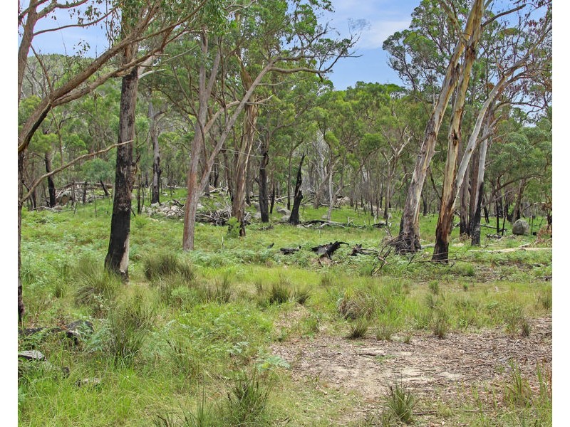 1214 Mt McKenzie Road, Tenterfield NSW 2372