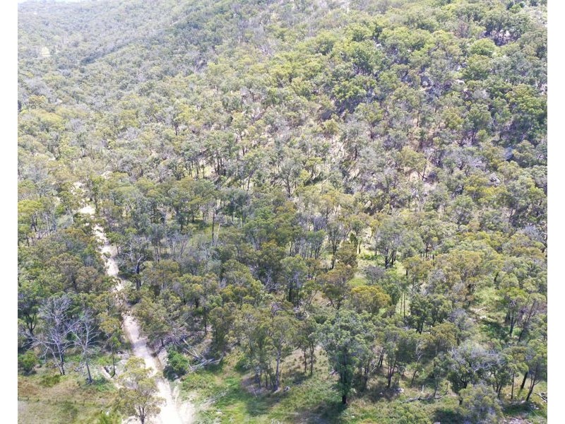 1214 Mt McKenzie Road, Tenterfield NSW 2372