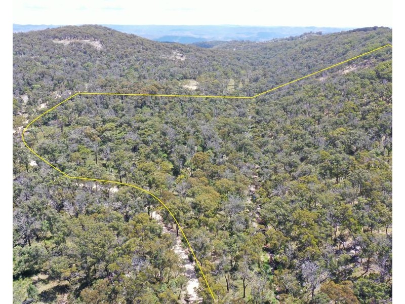 1214 Mt McKenzie Road, Tenterfield NSW 2372