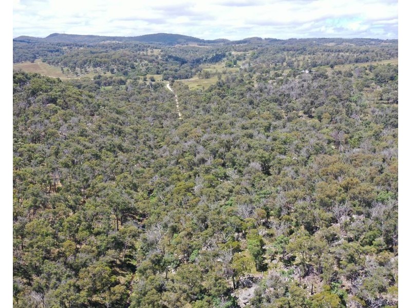 1214 Mt McKenzie Road, Tenterfield NSW 2372