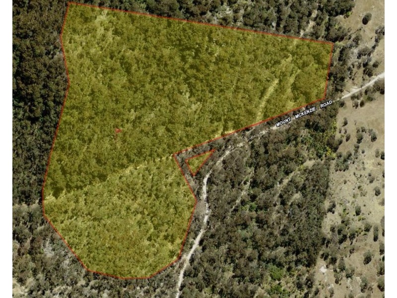 1214 Mt McKenzie Road, Tenterfield NSW 2372