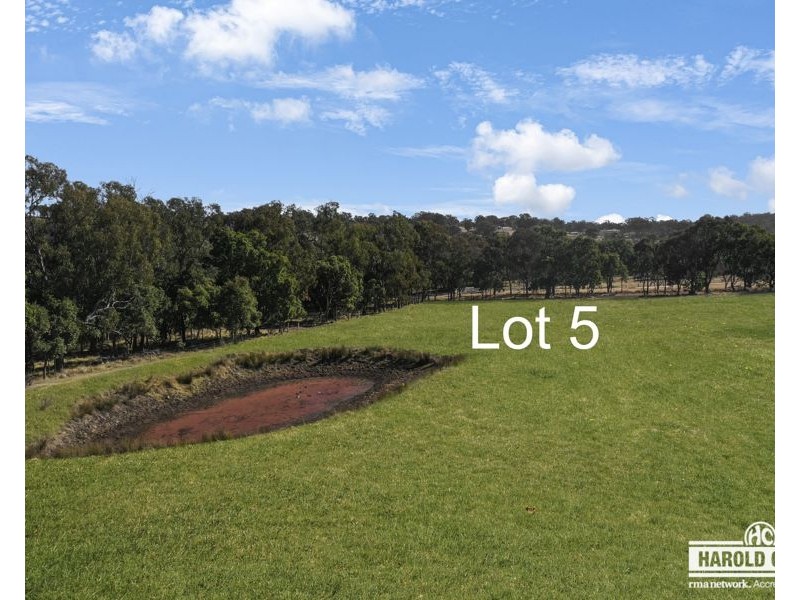 Lot 498 Sunnyside Loop Road, Tenterfield NSW 2372
