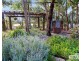 452 Sunnyside Loop Road, Tenterfield NSW 2372