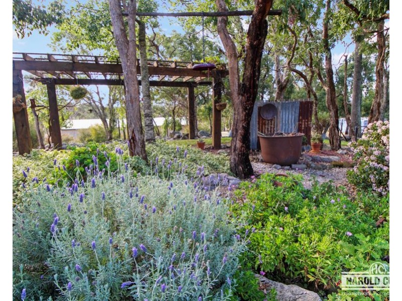452 Sunnyside Loop Road, Tenterfield NSW 2372