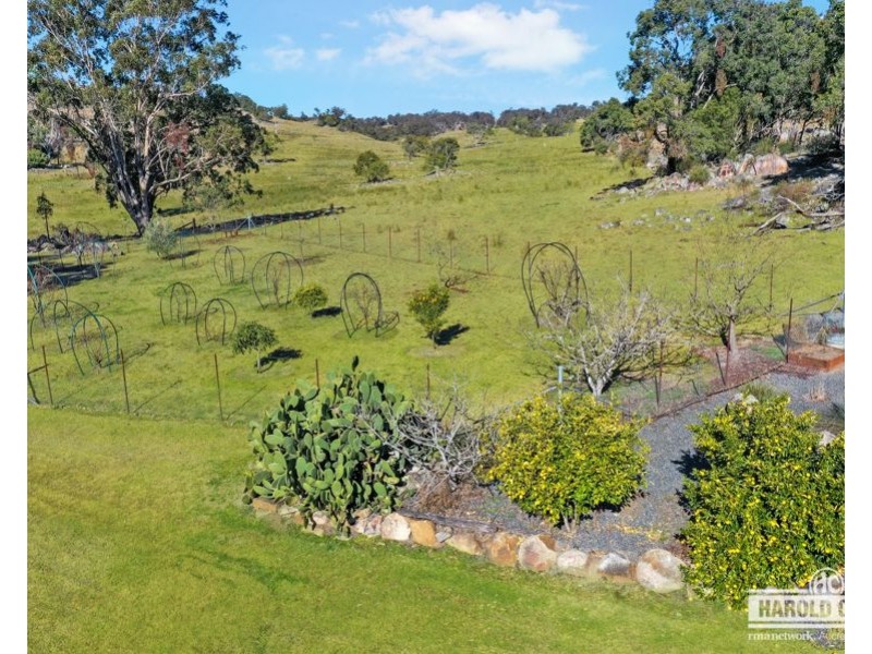 452 Sunnyside Loop Road, Tenterfield NSW 2372