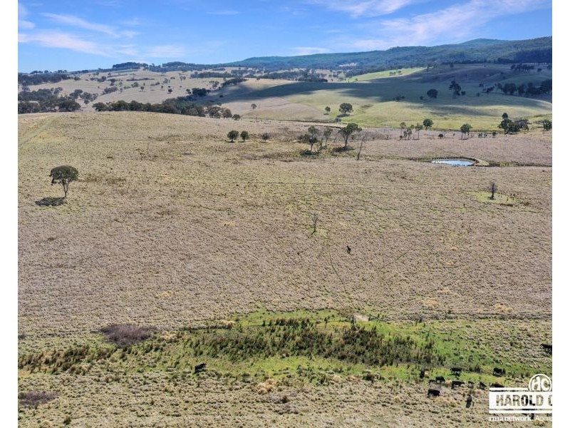 112a Black Swamp School Road, Tenterfield NSW 2372
