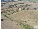 112a Black Swamp School Road, Tenterfield NSW 2372