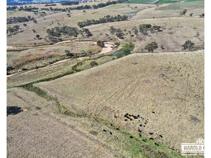 112a Black Swamp School Road, Tenterfield NSW 2372