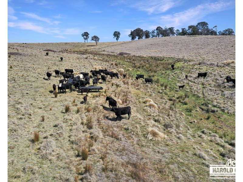 112a Black Swamp School Road, Tenterfield NSW 2372