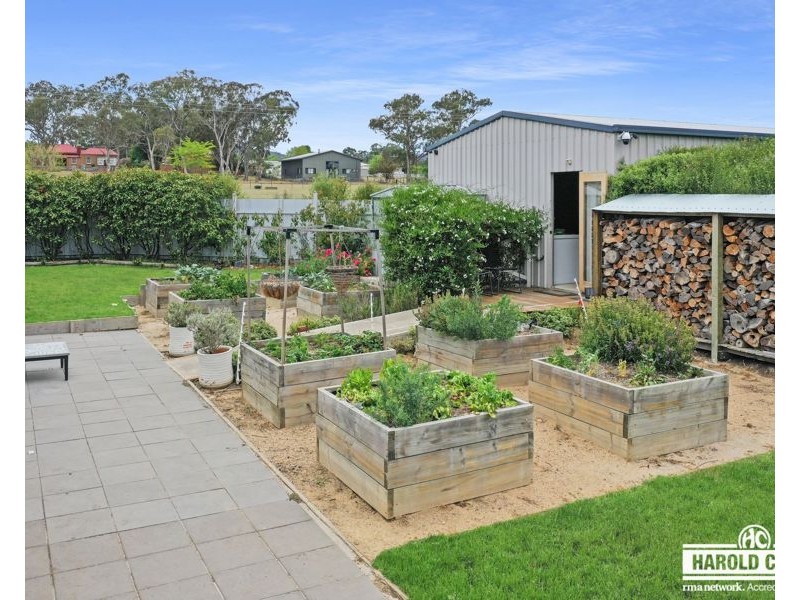 83 Douglas Street, Tenterfield NSW 2372