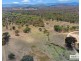 16 McCliftys Road, Bolivia, Tenterfield NSW 2372