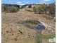 16 McCliftys Road, Bolivia, Tenterfield NSW 2372