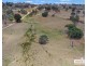 16 McCliftys Road, Bolivia, Tenterfield NSW 2372