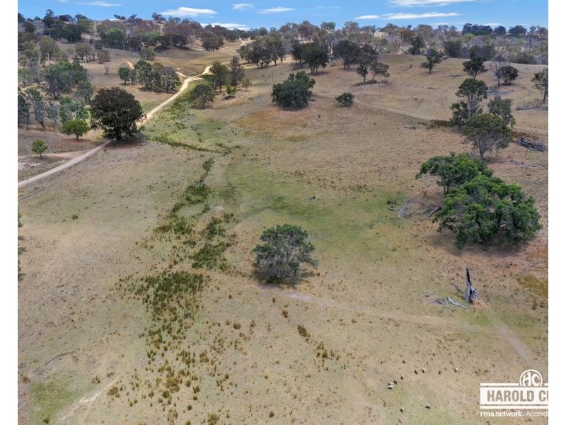 16 McCliftys Road, Bolivia, Tenterfield NSW 2372
