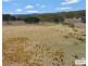 16 McCliftys Road, Bolivia, Tenterfield NSW 2372