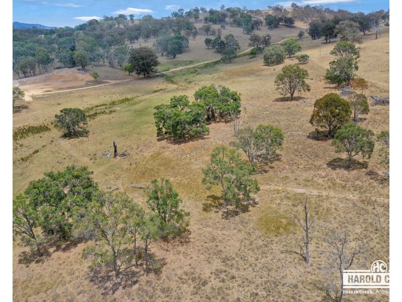 16 McCliftys Road, Bolivia, Tenterfield NSW 2372