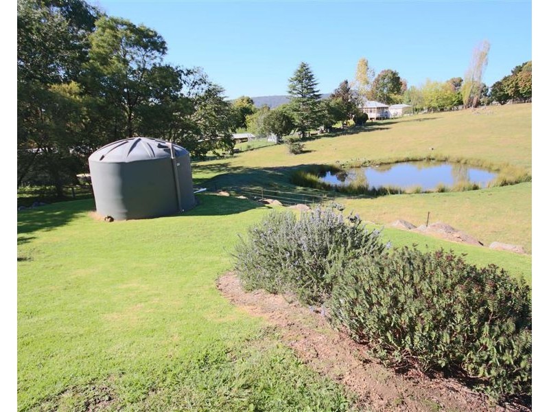 49 Riley Street, Tenterfield NSW 2372
