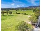 656 Sunnyside Loop Road, Tenterfield NSW 2372