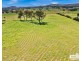 656 Sunnyside Loop Road, Tenterfield NSW 2372