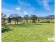 656 Sunnyside Loop Road, Tenterfield NSW 2372