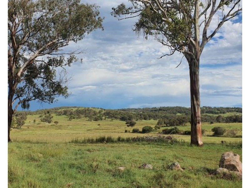 656 Sunnyside Loop Road, Tenterfield NSW 2372