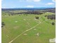 517B Bungulla Platform Road, Tenterfield NSW 2372