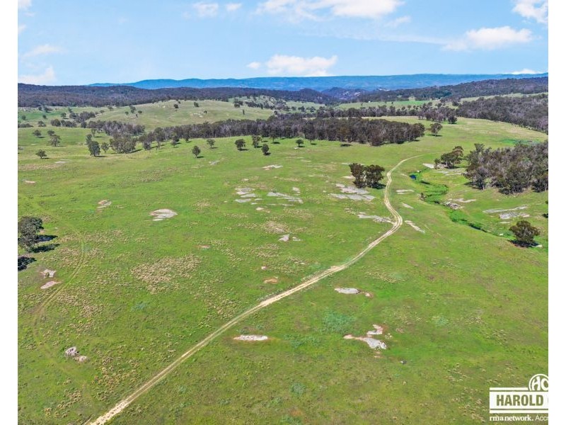 517B Bungulla Platform Road, Tenterfield NSW 2372
