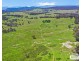 517B Bungulla Platform Road, Tenterfield NSW 2372