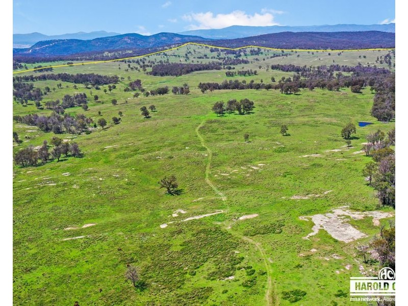 517B Bungulla Platform Road, Tenterfield NSW 2372