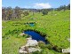 517B Bungulla Platform Road, Tenterfield NSW 2372