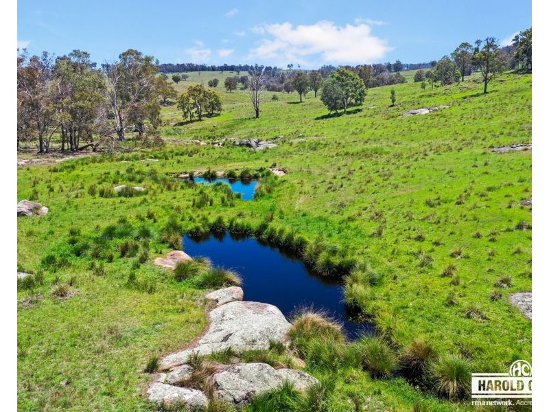 517B Bungulla Platform Road, Tenterfield NSW 2372