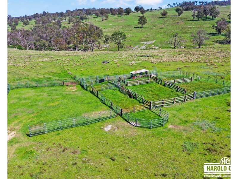 517B Bungulla Platform Road, Tenterfield NSW 2372