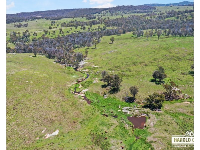 517B Bungulla Platform Road, Tenterfield NSW 2372