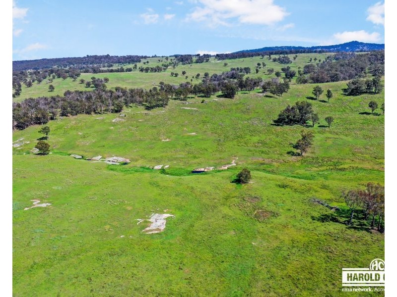 517B Bungulla Platform Road, Tenterfield NSW 2372