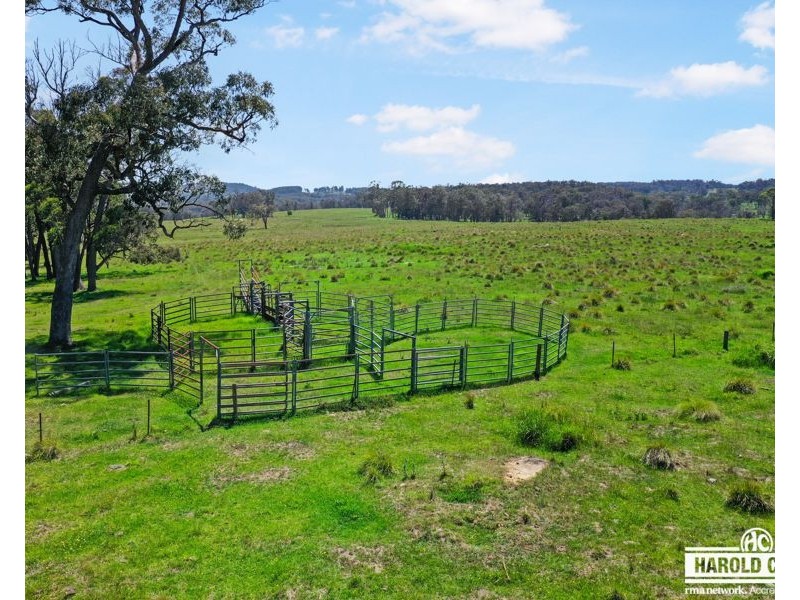 517B Bungulla Platform Road, Tenterfield NSW 2372