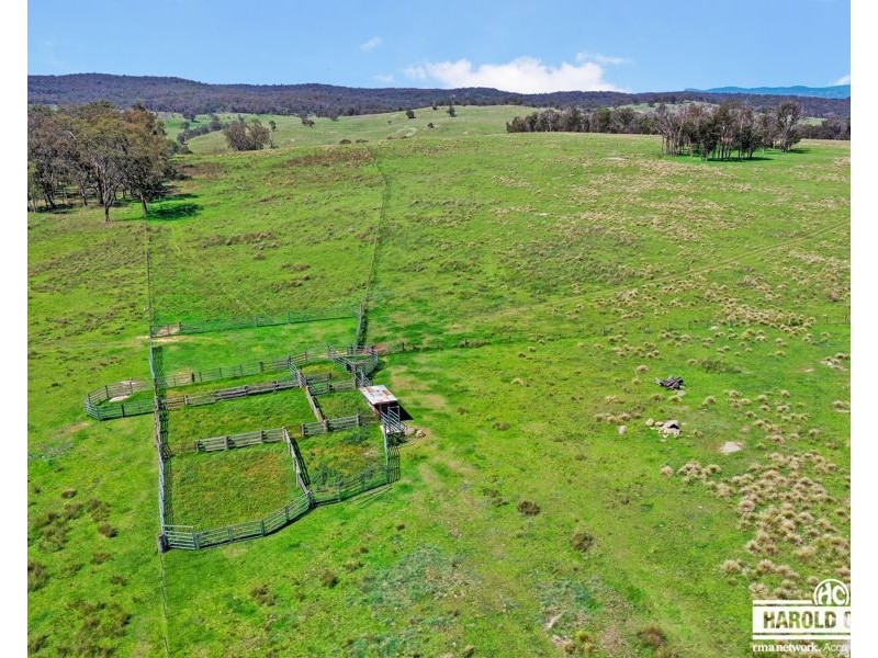 517B Bungulla Platform Road, Tenterfield NSW 2372