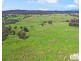 517B Bungulla Platform Road, Tenterfield NSW 2372
