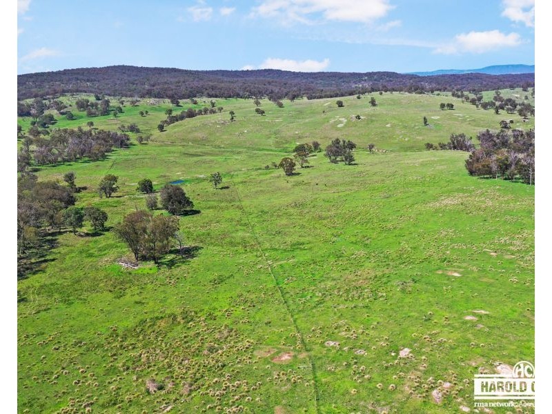 517B Bungulla Platform Road, Tenterfield NSW 2372