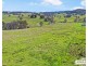 517B Bungulla Platform Road, Tenterfield NSW 2372