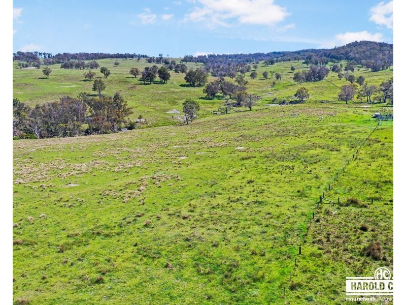 517B Bungulla Platform Road, Tenterfield NSW 2372