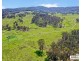 517B Bungulla Platform Road, Tenterfield NSW 2372