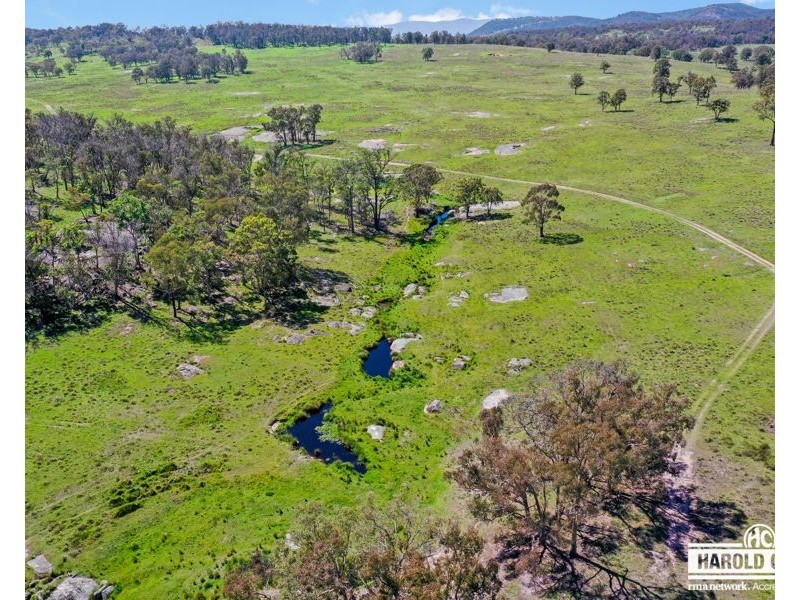 517B Bungulla Platform Road, Tenterfield NSW 2372