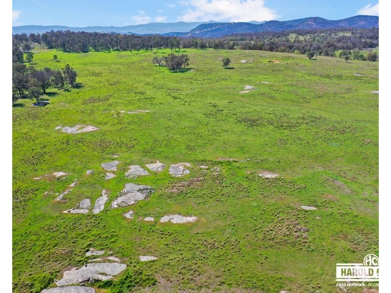 517B Bungulla Platform Road, Tenterfield NSW 2372