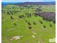 517B Bungulla Platform Road, Tenterfield NSW 2372