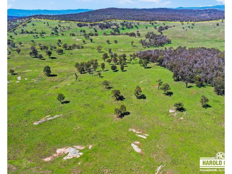 517B Bungulla Platform Road, Tenterfield NSW 2372