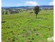 517B Bungulla Platform Road, Tenterfield NSW 2372