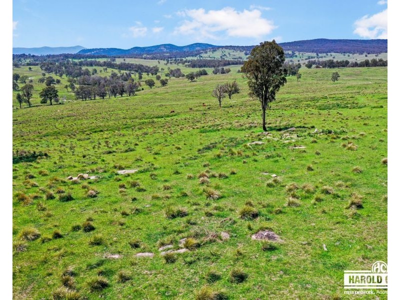 517B Bungulla Platform Road, Tenterfield NSW 2372
